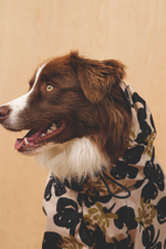 Комбинезон "Пони-комбинезони" принтованный, без утеплителя