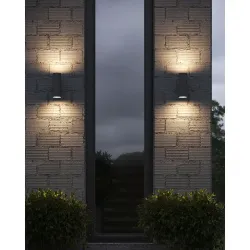 Фасадный светильник Arte Lamp