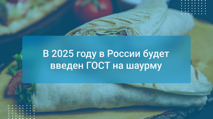 В 2025 году в России будет введен ГОСТ на шаурму