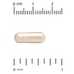 California Gold Nutrition, спермидин, экстракт ростков риса, 1 мг, 30 растительных капсул