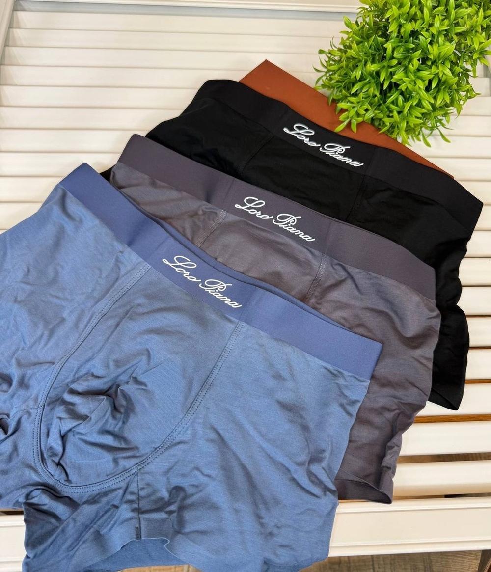 Боксеры Loro Piana