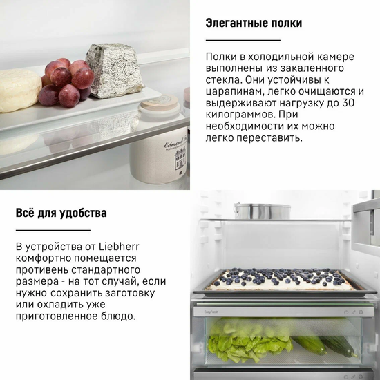 Встраиваемый холодильник LIEBHERR IRe 5100