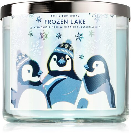 Bath & Body Works Frozen Lake - ароматическая свеча IV. /   411  g  / GTIN 667557469843