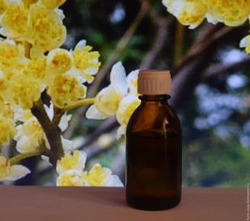 Эфирное масло Литсея Кубеба. 10 мл.