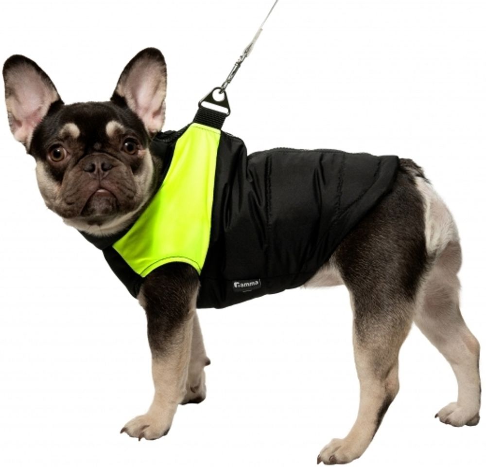 Gamma Жилет Неон для собак, ветронепроницаемый, на молнии, полиэстер, черно-желтый, размер M (26x37 см)
