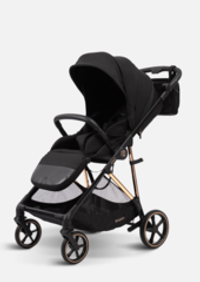 Peppy Коляска прогулочная Amici (Black) рама Gold (LX)