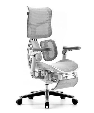 Эргономичные кресло FALTO SCALA с подножкой  (Каркас светлый, сетка белый)