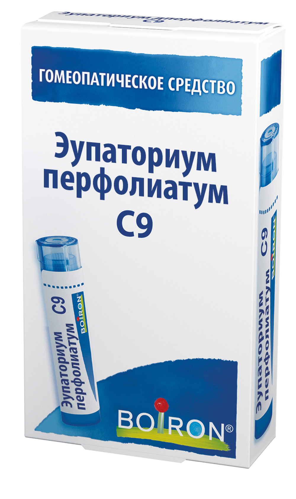 ЭУПАТОРИУМ ПЕРФОЛИАТУМ C9