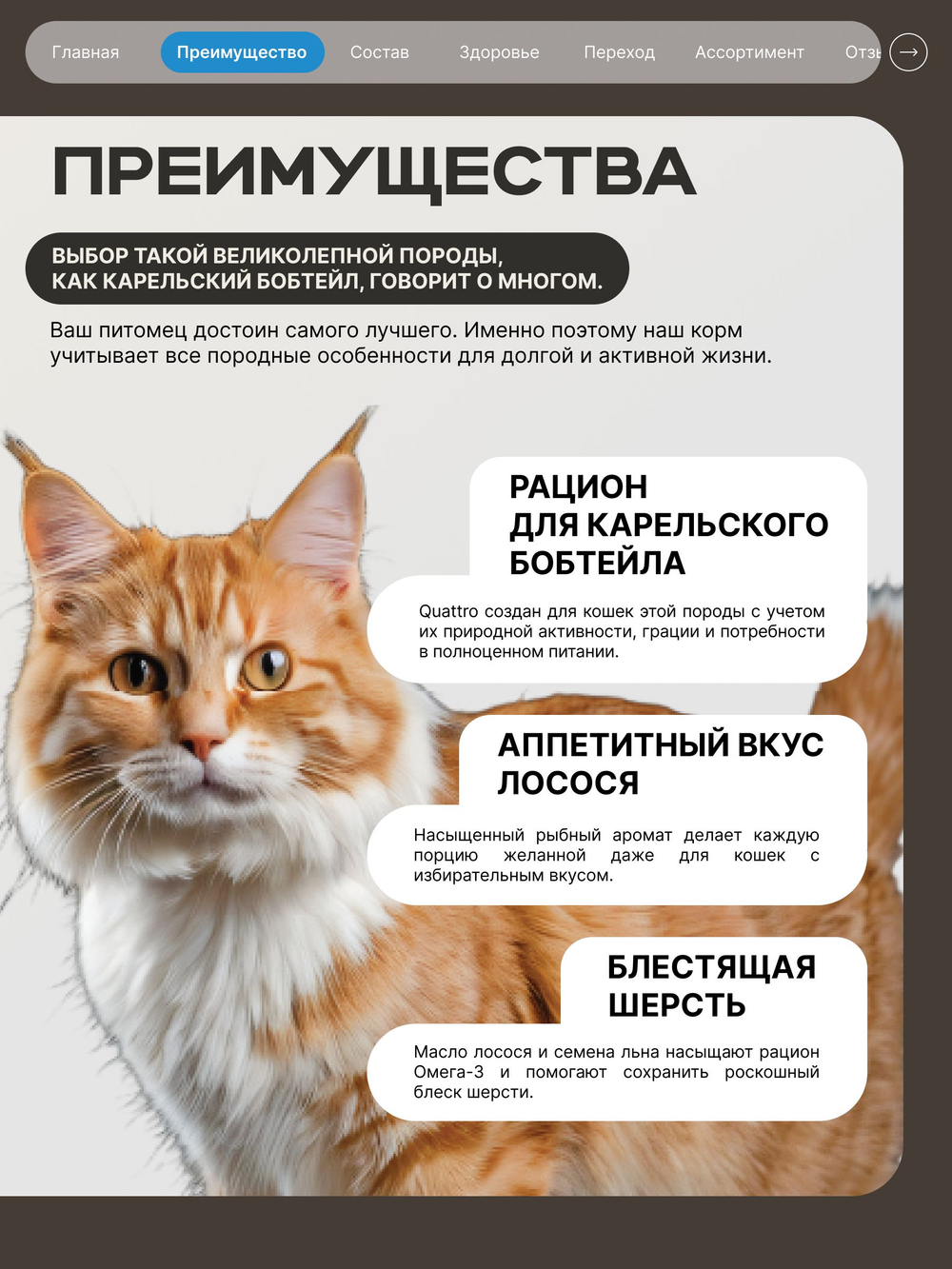 Корм сухой для взрослых кошек породы Карельский бобтейл, с лососем, 2 кг, QUATTRO