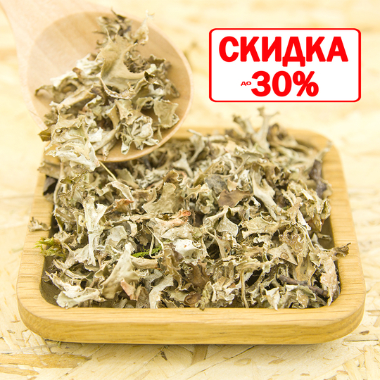 Исландский мох \ Цетрария