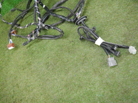DSCN5822.JPG