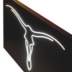 7266 Световое пано TRAZOS