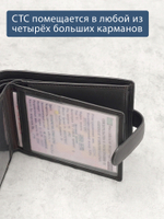B123168R Castanho - Портмоне с RFID защитой MP