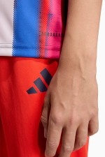 Футболка adidas FC Bayern 25/26 Pre-Match Junior - многоцветный