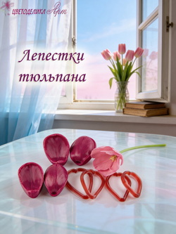 Лепестки тюльпана