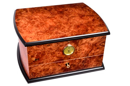 Mastro de Paja на 50 сигар Вяз