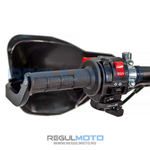 Мотоцикл Regulmoto LEGEND 300