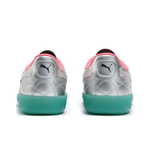 Кроссовки Puma Palermo NewGenFooty 'Silver Sparkling Green' 398151-01