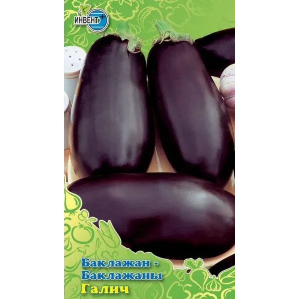 Баклажан Галич Инвент+