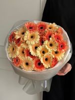 Букет из 25 минигербер кремовых оттенков