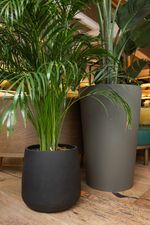 Кашпо CIGAR NERO