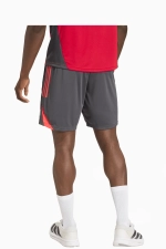 Шорты adidas Liverpool FC 25/26 Competition Training - серый