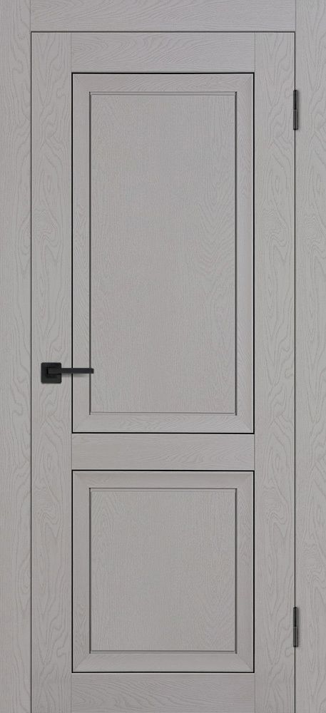 Дверь PST-28 / Цвет серый ясень / Двери PROFILO PORTE