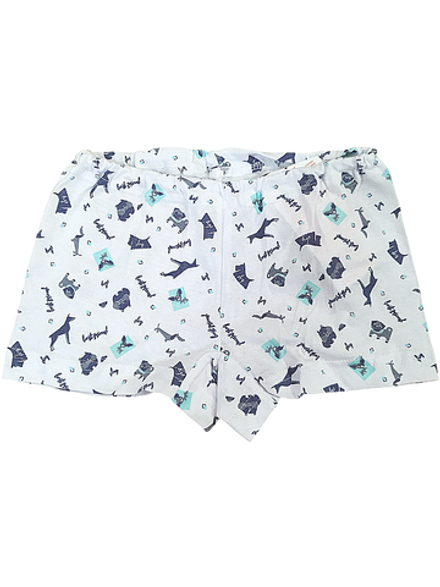 1761 Трусы для мальчика (72)