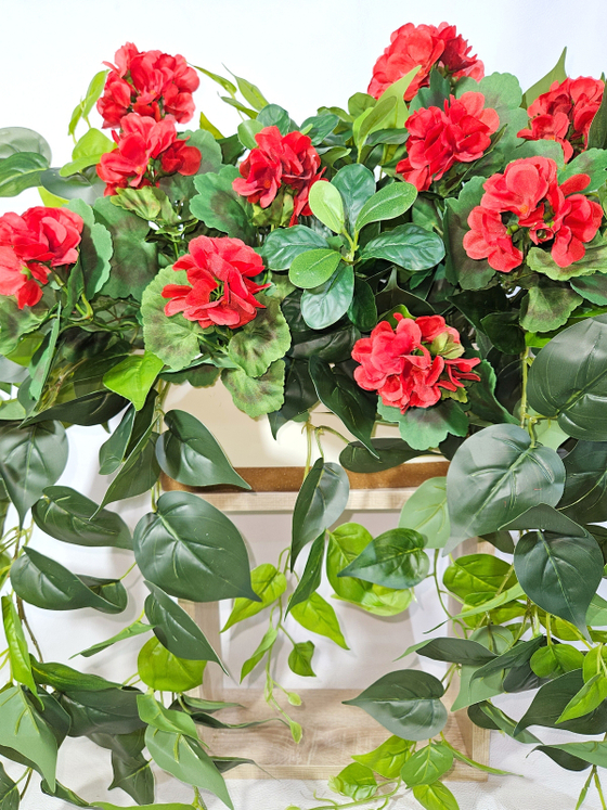 Герань красная с ампельной зеленью 80см в длинном кашпо