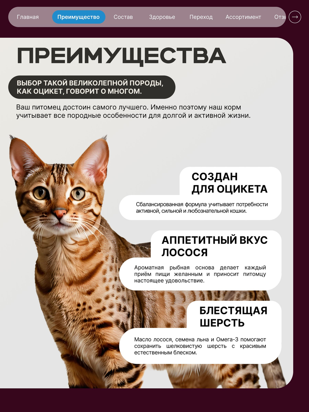 Корм сухой для взрослых кошек породы Оцикет, с лососем, 5 кг, QUATTRO