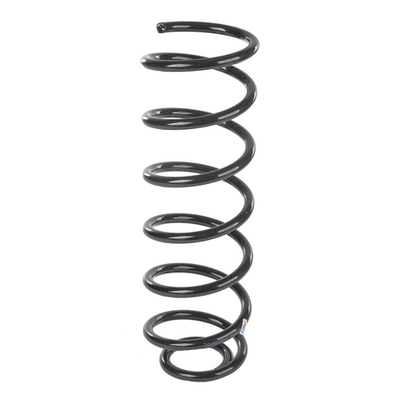 Пружина задняя L=R МОСКВИЧ 3 / JAC JS 4 GANZ GIK02611