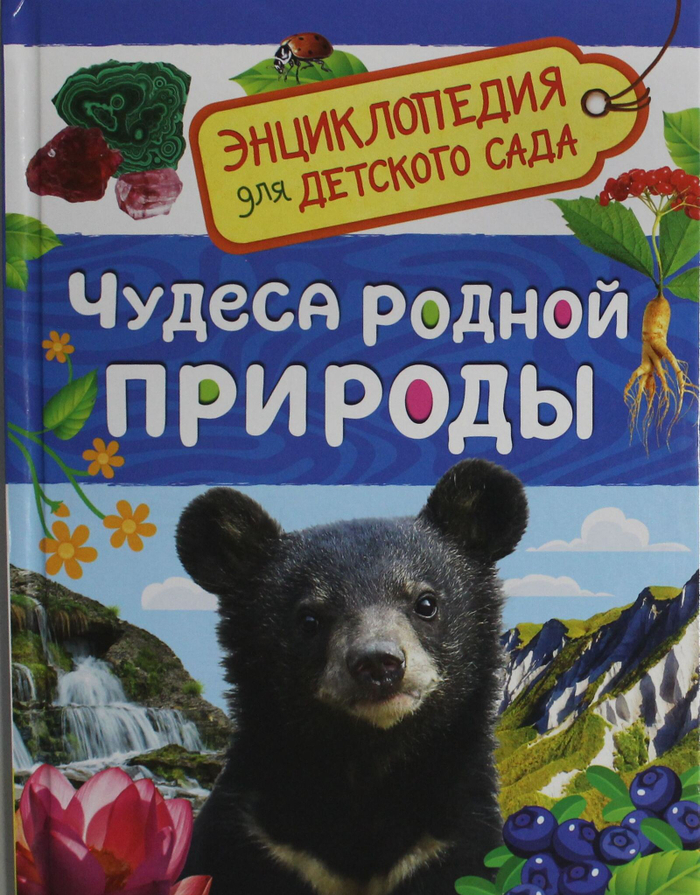 Чудеса родной природы (Энциклопедия для детского сада)