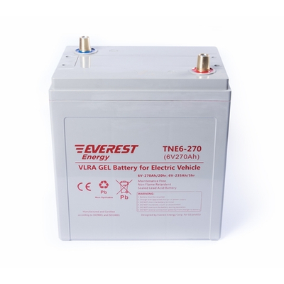 Тяговая аккумуляторная батарея EVEREST TNE 6-270