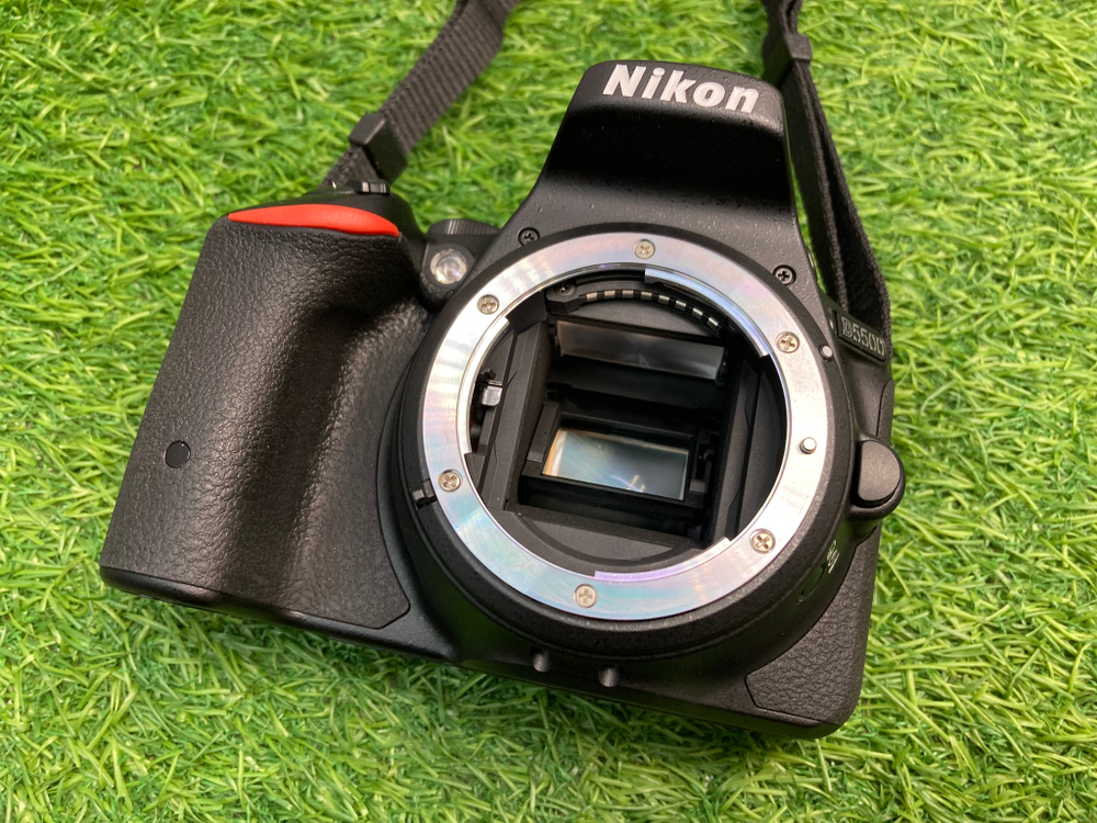 Nikon D5500 3.200 кадров