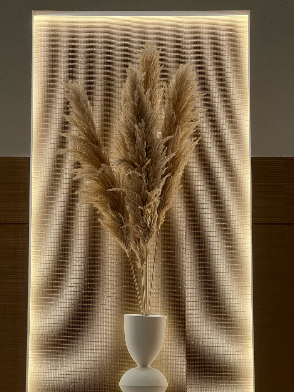 Пампасная трава сухоцвет