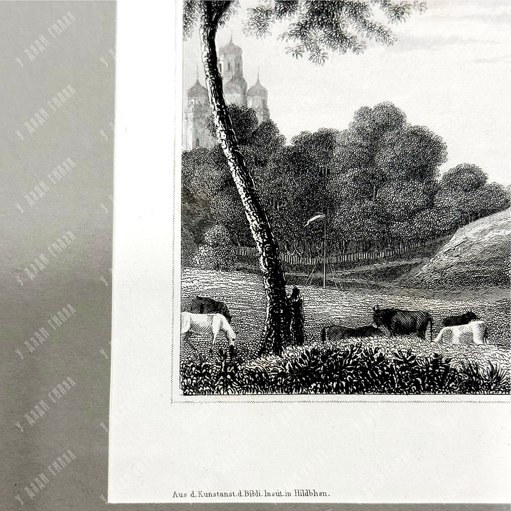 Царское. Гравюра на стали. Хильдбургхаузен, Германия. 1840-е гг.