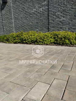 Современник, дом на Некрасова, г. Новосибирск