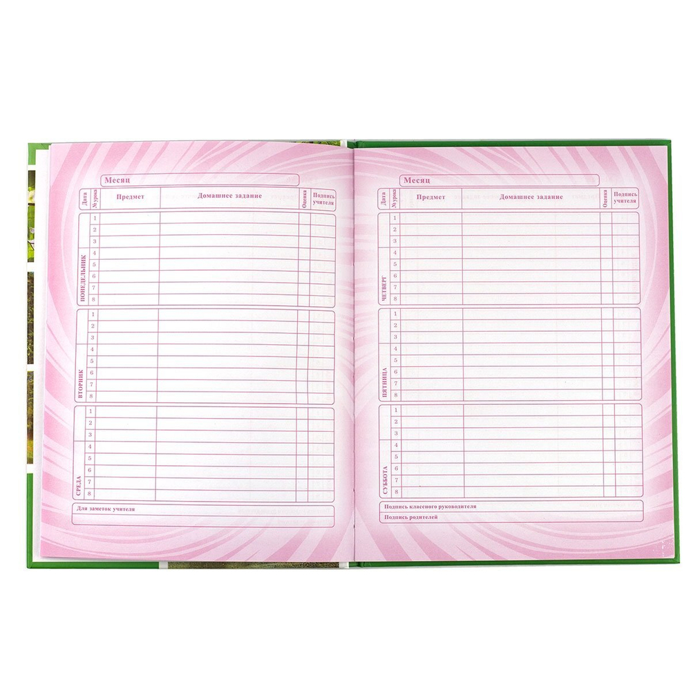 Дневник школьный Alingar 1-11 кл., 48л., 7БЦ, поролон, глиттер, ассорти, "Цветы-1"