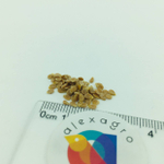 Панекра F1 семена томата индетерминантного (Syngenta / ALEXAGRO) семена