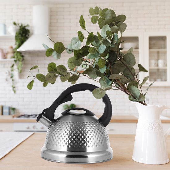 Чайник 2,7 л. из нержавеющей стали со свистком Ofenbach NB 100306 и ручкой "soft touch"