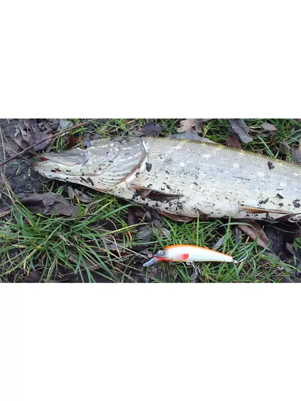 Воблер Минноу M-33 100mm, цвет 048 (окунь), 1 штука