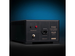 Усилитель для акустики Spotless Audio P250 Monoblock 2 шт