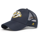 Бейсболка NHL Nashville Predators