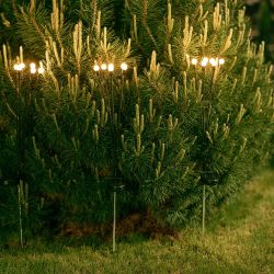 USL-S-820-PM700 FIREFLIES Садовый светильник на солнечной батарее Светлячки. 6 светодиодов. Теплый белый свет. 1xАА Ni-Mh аккумулятор в-к. IP44. TM Uniel