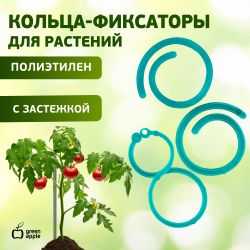 GPCR-2 GREEN APPLE Кольцо фиксатор цепочка | GREEN APPLE