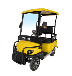 Гольфкар GreenCamel A2 ECO (2 seats 800W R8)