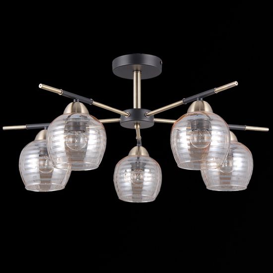 IL9725-5CSQ-79 BK AB светильник потолочный