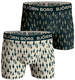 Мужские спортивные боксеры Björn Borg Core Boxer 2P - print