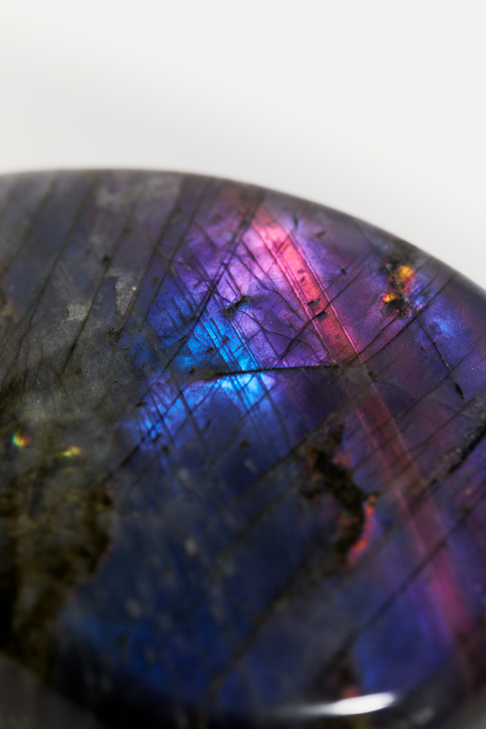 Срез Лабрадора M