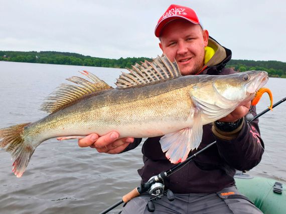 Виброхвосты съедобные LJ Pro Series Spark Tail 4,0in (10,1 см), цв. T56, 5 шт.